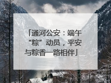 通河公安：端午“粽”动员，平安与粽香一路相伴