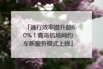 通行效率提升超60%！青岛机场网约车新服务模式上线