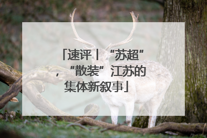 速评丨“苏超”，“散装”江苏的集体新叙事