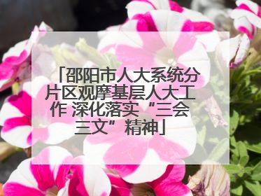邵阳市人大系统分片区观摩基层人大工作 深化落实“三会三文”精神