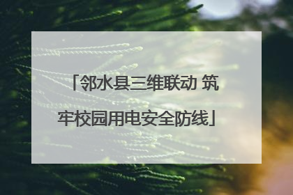 邻水县三维联动 筑牢校园用电安全防线