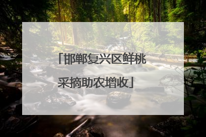 邯郸复兴区鲜桃采摘助农增收