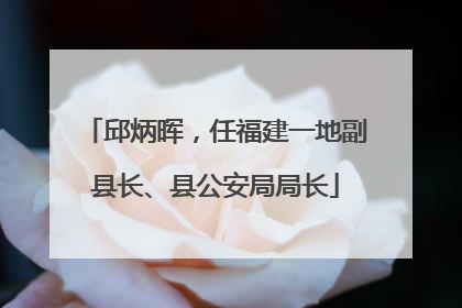 邱炳晖，任福建一地副县长、县公安局局长