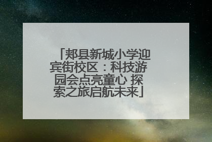 郏县新城小学迎宾街校区：科技游园会点亮童心 探索之旅启航未来