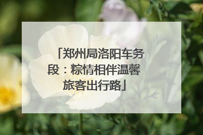 郑州局洛阳车务段：粽情相伴温馨旅客出行路