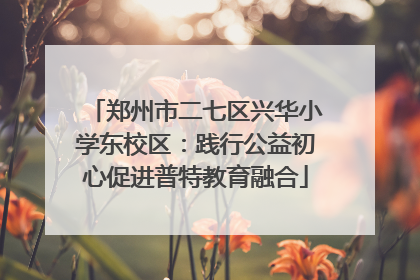 郑州市二七区兴华小学东校区：践行公益初心促进普特教育融合