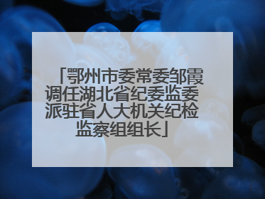 鄂州市委常委邹霞调任湖北省纪委监委派驻省人大机关纪检监察组组长