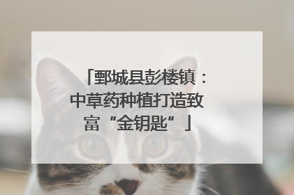 鄄城县彭楼镇：中草药种植打造致富“金钥匙”