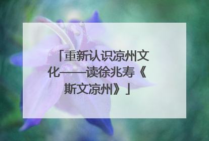 重新认识凉州文化——读徐兆寿《斯文凉州》