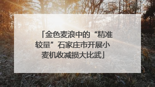 金色麦浪中的“精准较量”石家庄市开展小麦机收减损大比武