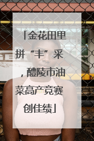 金花田里拼“丰”采，醴陵市油菜高产竞赛创佳绩
