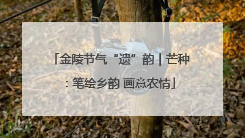 金陵节气“遗”韵｜芒种：笔绘乡韵 画意农情
