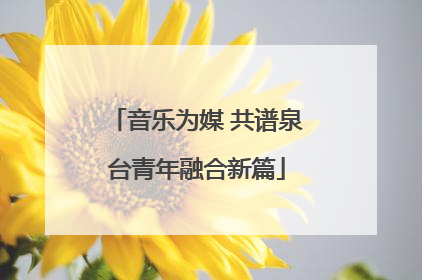 音乐为媒 共谱泉台青年融合新篇