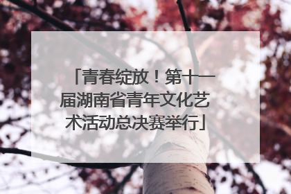 青春绽放！第十一届湖南省青年文化艺术活动总决赛举行