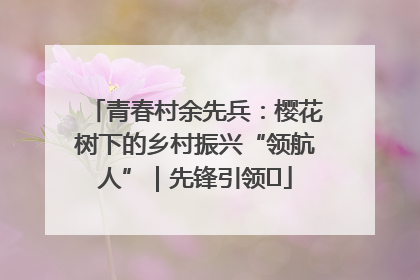 青春村余先兵：樱花树下的乡村振兴“领航人”｜先锋引领⑪