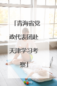 青海省党政代表团赴天津学习考察