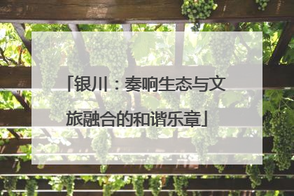 银川：奏响生态与文旅融合的和谐乐章