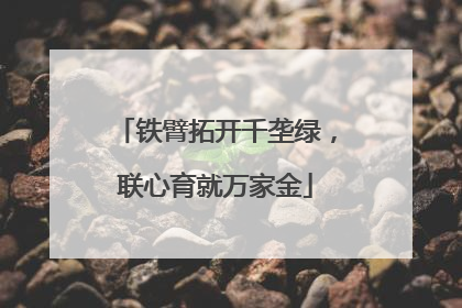 铁臂拓开千垄绿，联心育就万家金