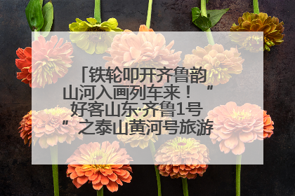 铁轮叩开齐鲁韵 山河入画列车来！“好客山东·齐鲁1号”之泰山黄河号旅游列车首发活动侧记