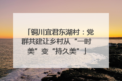 铜川宜君东湖村：党群共建让乡村从“一时美”变“持久美”