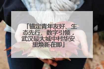 锚定青年友好、生态先行、数字引领，武汉最大城中村华安里焕新在即