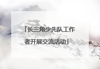 长三角少先队工作者开展交流活动