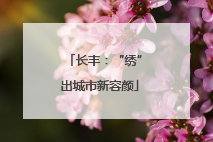 长丰：“绣”出城市新容颜