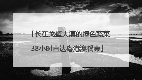 长在戈壁大漠的绿色蔬菜38小时直达粤港澳餐桌