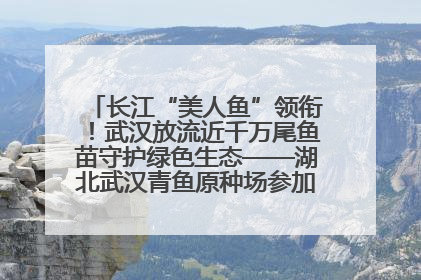 长江“美人鱼”领衔！武汉放流近千万尾鱼苗守护绿色生态——湖北武汉青鱼原种场参加2025年“全国放鱼日”增殖放流活动