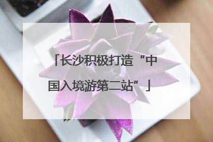 长沙积极打造“中国入境游第二站”