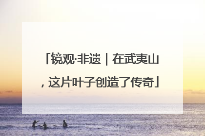 镜观·非遗｜在武夷山，这片叶子创造了传奇