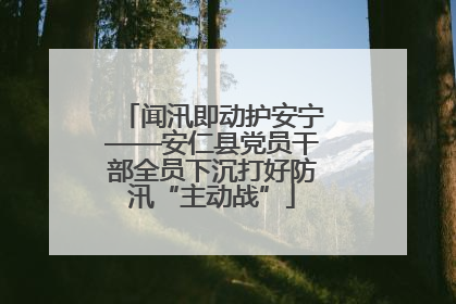 闻汛即动护安宁——安仁县党员干部全员下沉打好防汛“主动战”