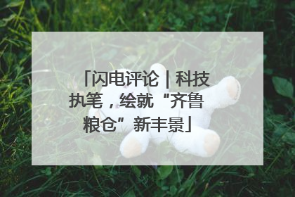 闪电评论｜科技执笔，绘就“齐鲁粮仓”新丰景