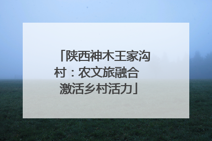 陕西神木王家沟村：农文旅融合 激活乡村活力