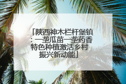 陕西神木栏杆堡镇：一垄瓜苗一垄药香 特色种植激活乡村振兴新动能