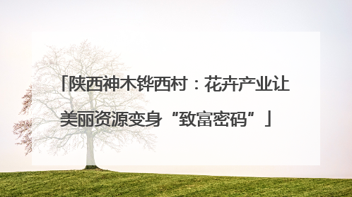 陕西神木铧西村：花卉产业让美丽资源变身“致富密码”