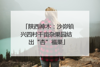 陕西神木：沙峁镇兴四村千亩杂果园结出“杏”福果