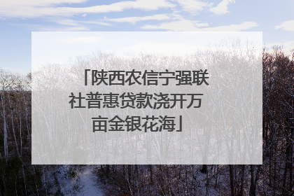 陕西农信宁强联社普惠贷款浇开万亩金银花海