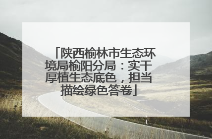 陕西榆林市生态环境局榆阳分局：实干厚植生态底色，担当描绘绿色答卷