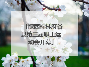 陕西榆林府谷县第三届职工运动会开幕
