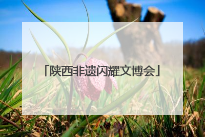 陕西非遗闪耀文博会