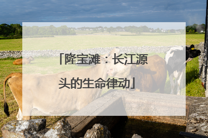 隆宝滩：长江源头的生命律动