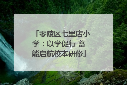 零陵区七里店小学：以学促行 蓄能启航校本研修