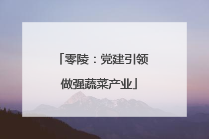 零陵：党建引领 做强蔬菜产业