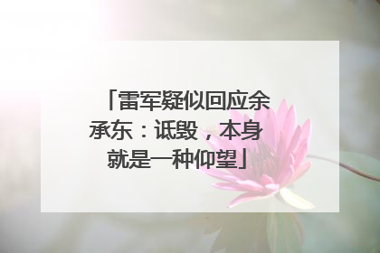 雷军疑似回应余承东：诋毁，本身就是一种仰望