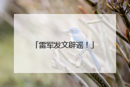 雷军发文辟谣！