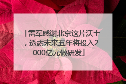雷军感谢北京这片沃土，透露未来五年将投入2000亿元做研发