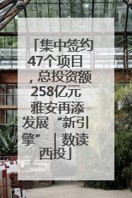 集中签约47个项目，总投资额258亿元 雅安再添发展“新引擎”｜数读西投