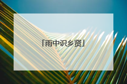 雨中识乡贤