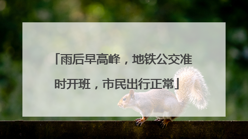 雨后早高峰，地铁公交准时开班，市民出行正常